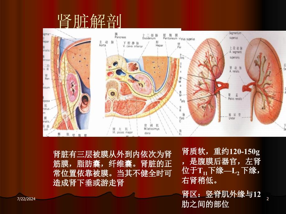 尿石症梗阻及其他 ppt课件_第2页