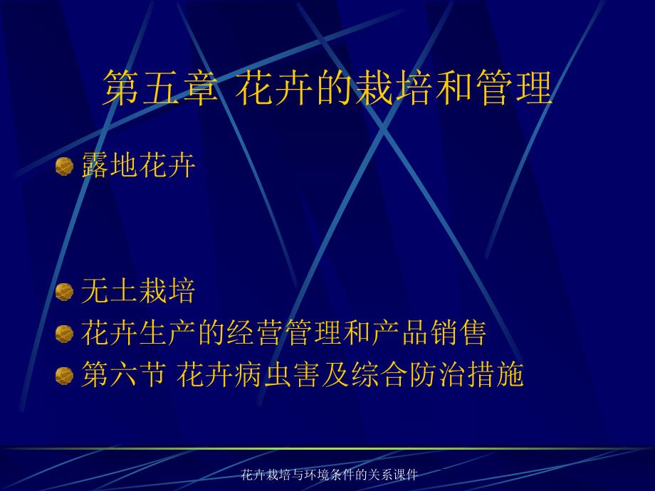 花卉栽培与环境条件的关系课件_第1页