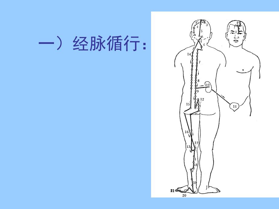 ppt-足太阳膀胱经1课件_第3页