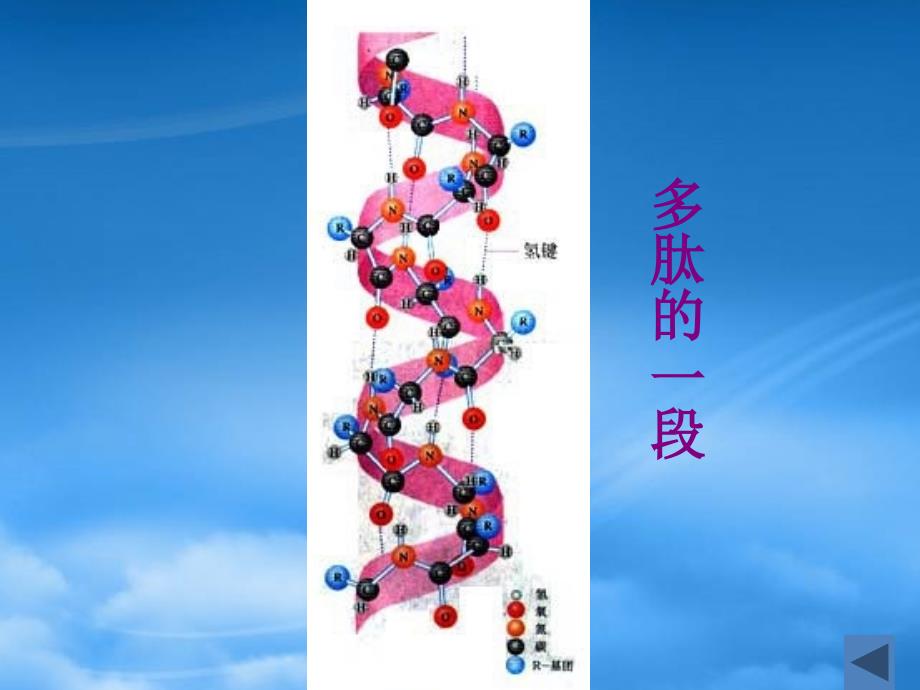 高中化学：1.3.2 蛋白质的性质 课件新人教选修1_第3页