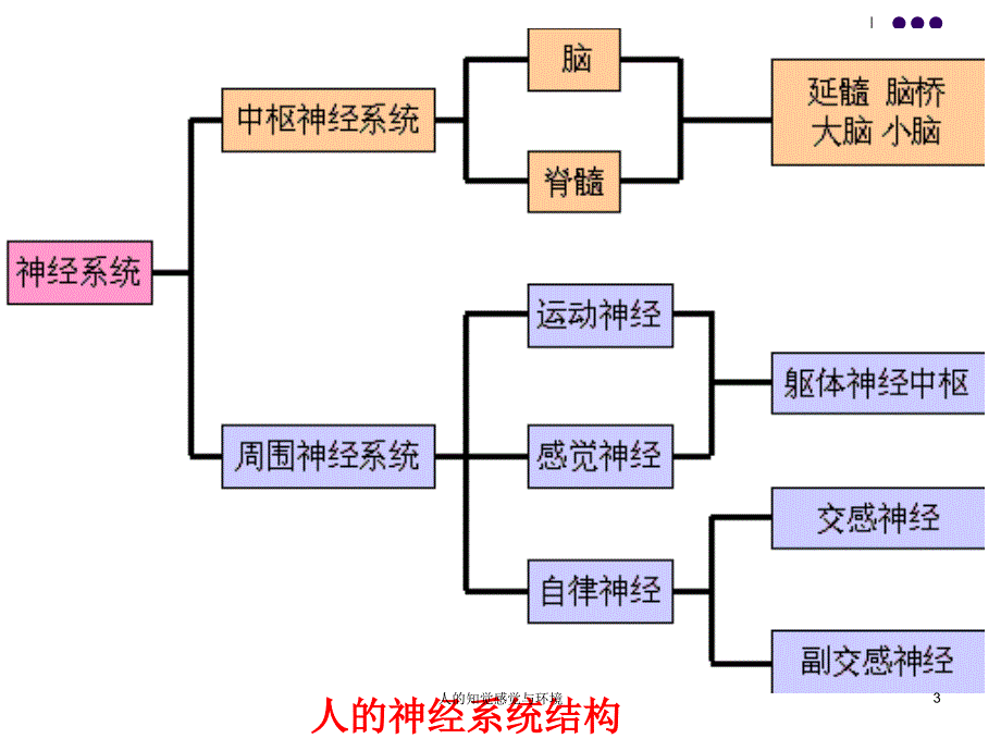 人的知觉感觉与环境课件_第3页