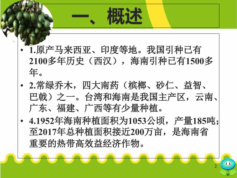 槟榔种植管理技术实用版_第2页