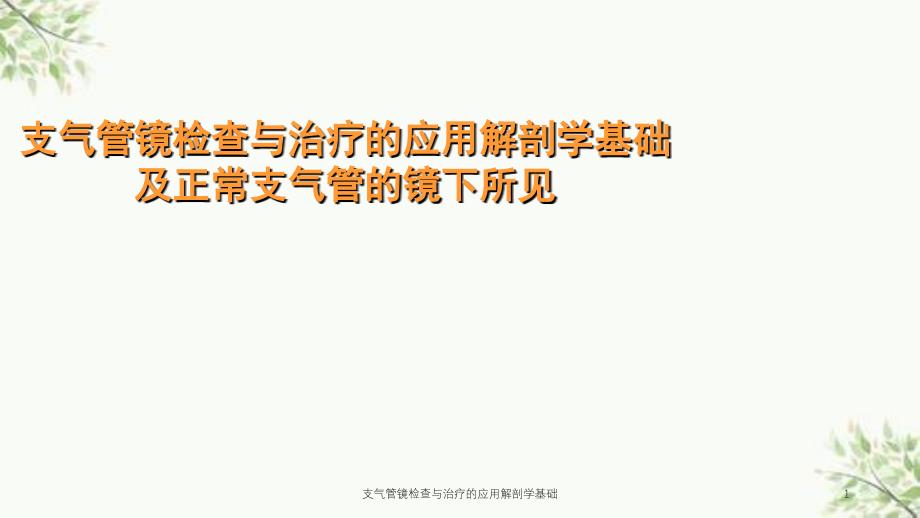 支气管镜检查与治疗的应用解剖学基础课件_第1页