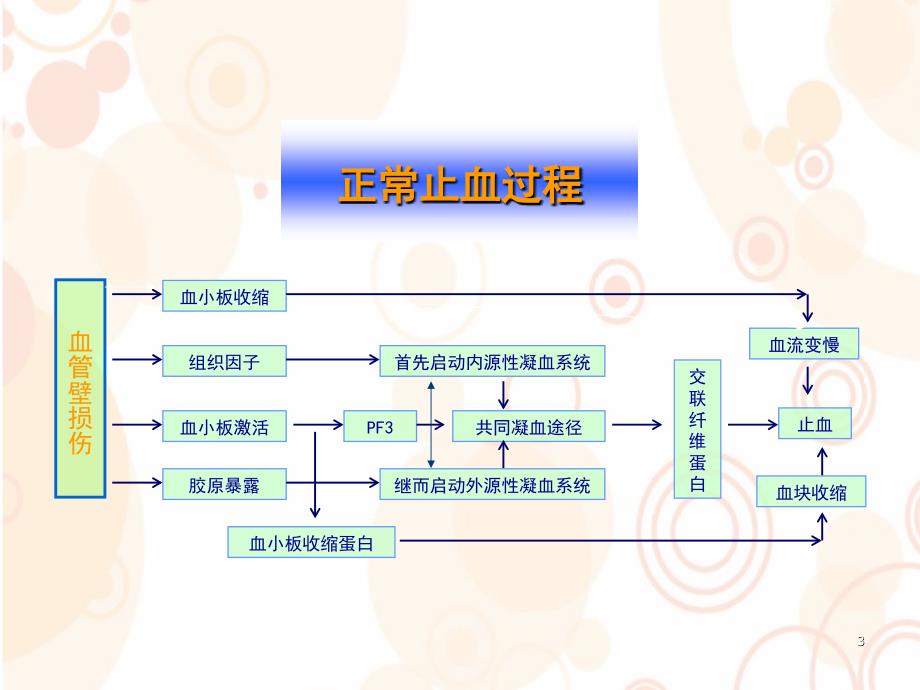 凝血的基本原理和检验项目的临床意义张弘课堂PPT_第3页