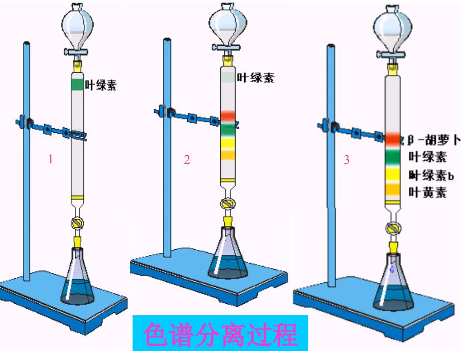 第八章色谱法原理._第3页