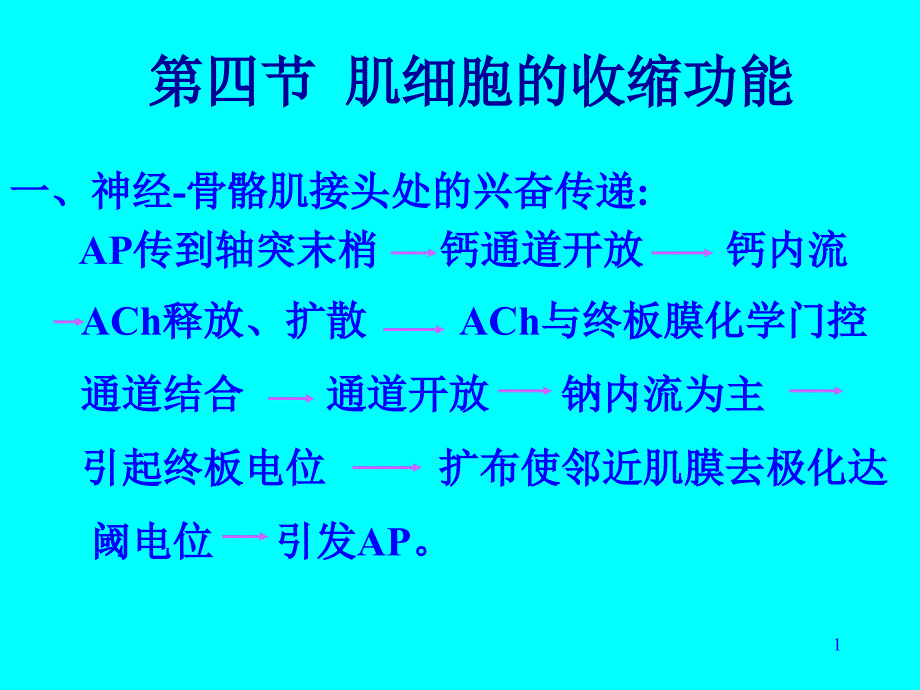 肌细胞的收缩功能ppt课件_第1页