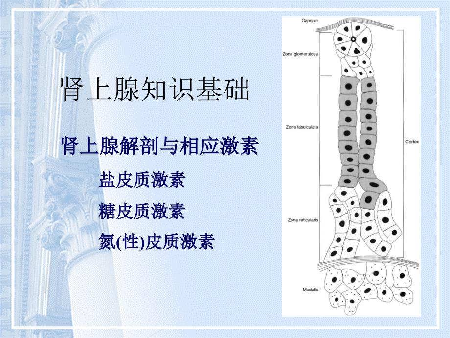 原性醛固酮增多症_第2页