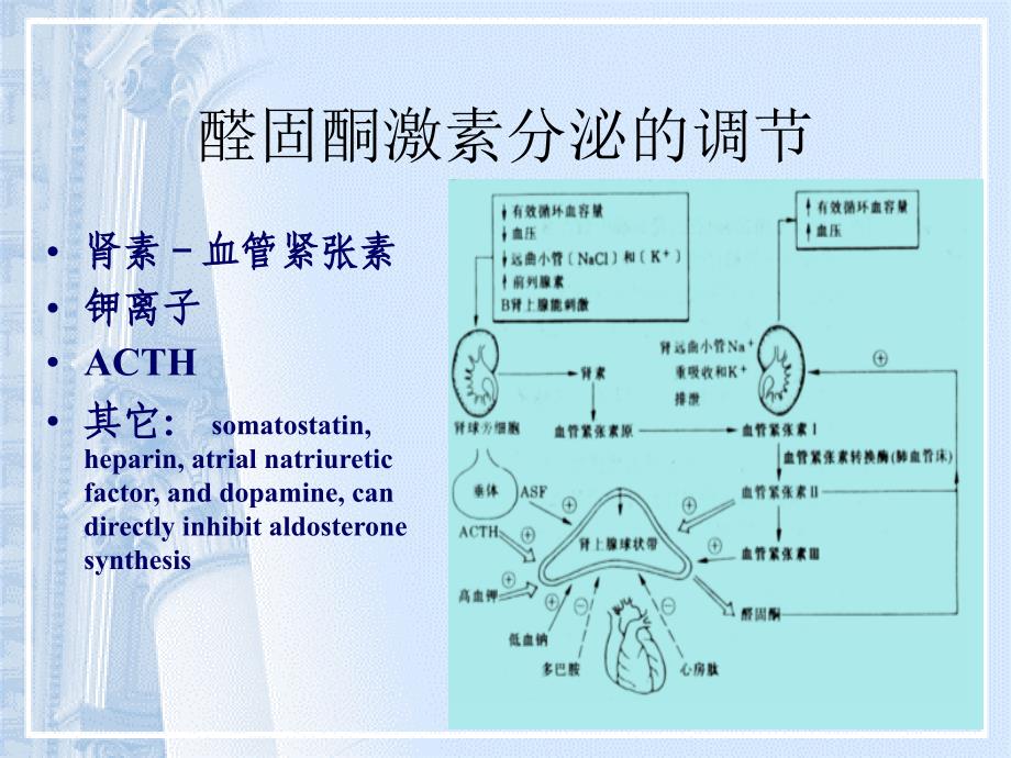 原性醛固酮增多症_第4页