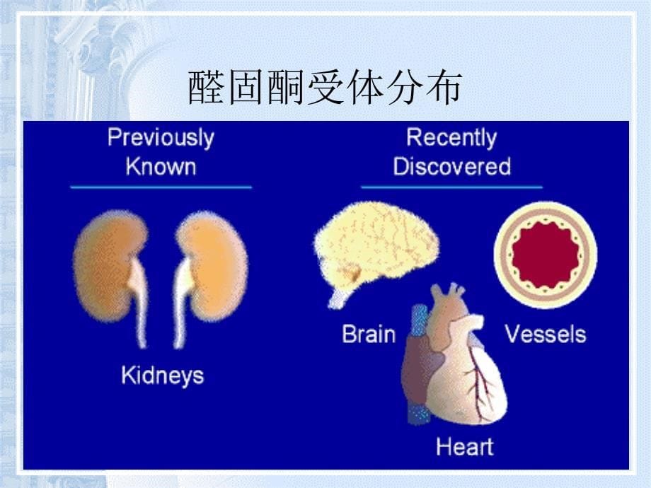 原性醛固酮增多症_第5页