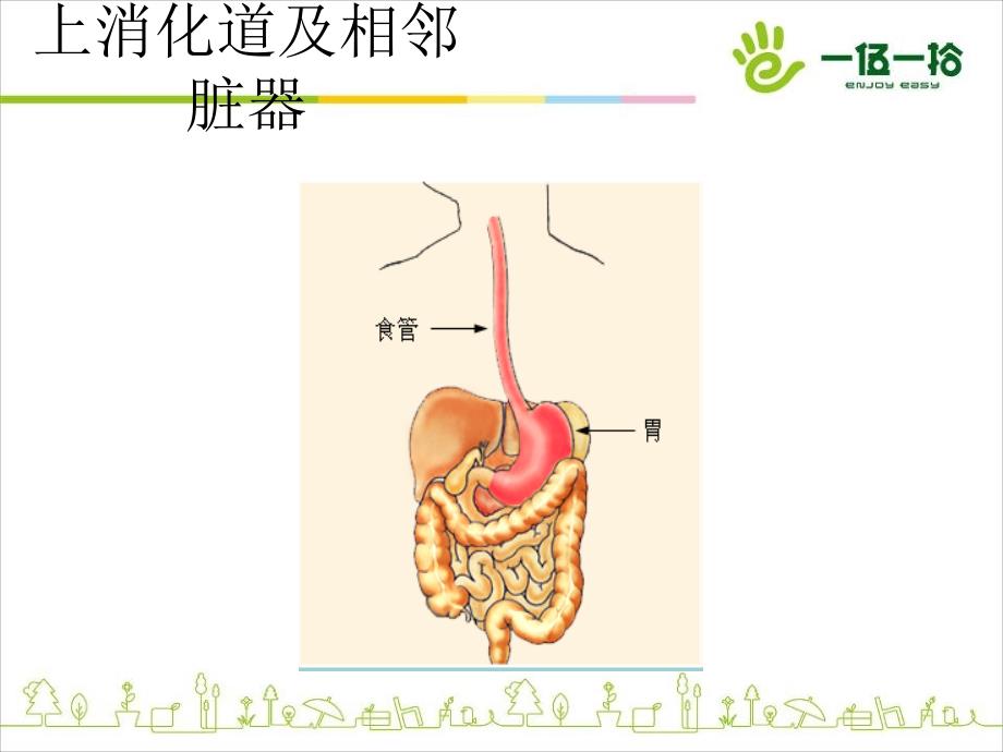 上消化道出血诊治进展_第4页