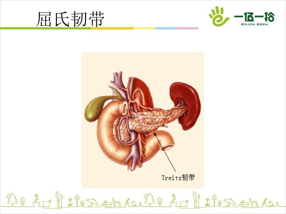 上消化道出血诊治进展_第5页