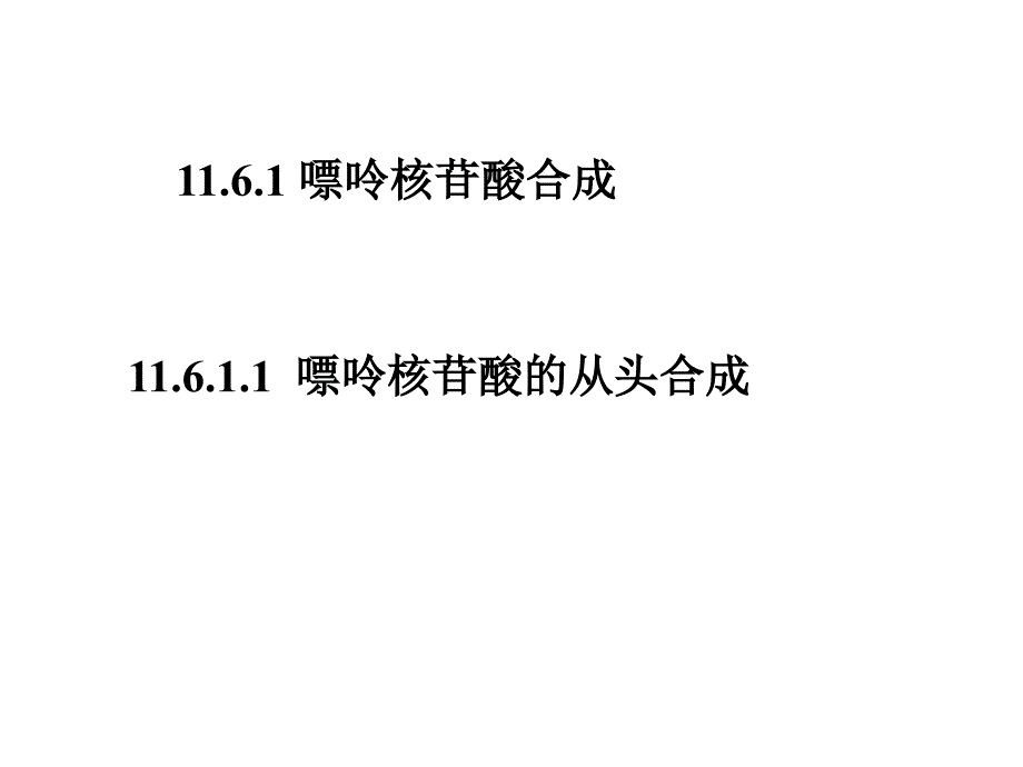 含氮小分子的代谢核苷酸_第2页