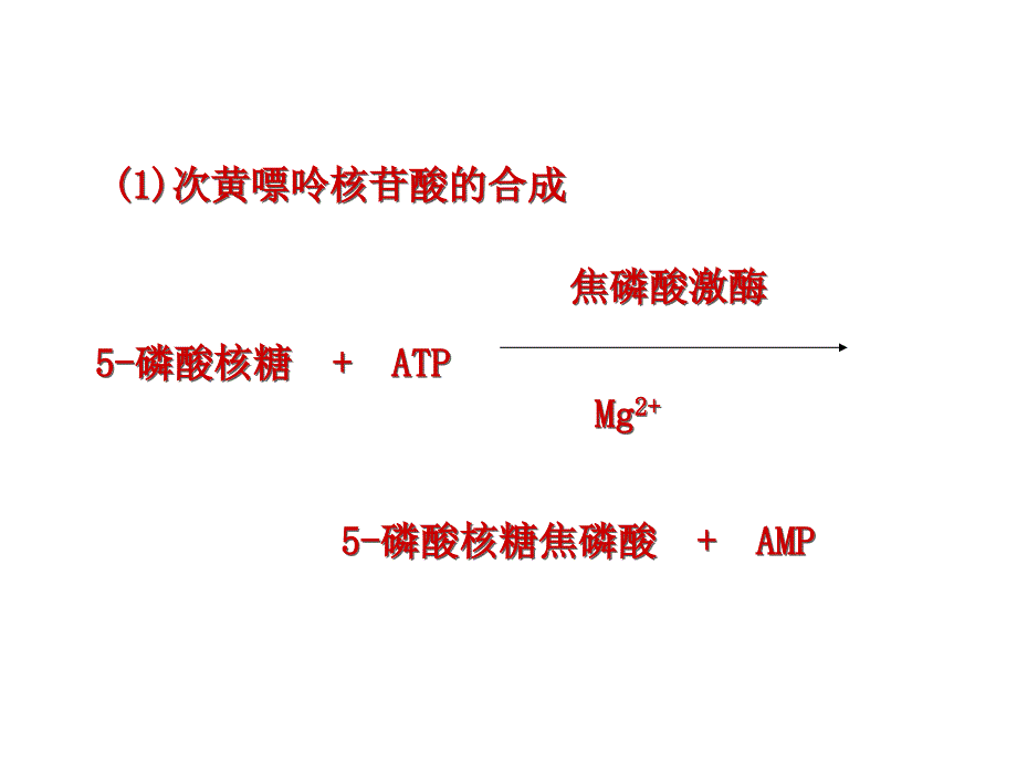 含氮小分子的代谢核苷酸_第4页