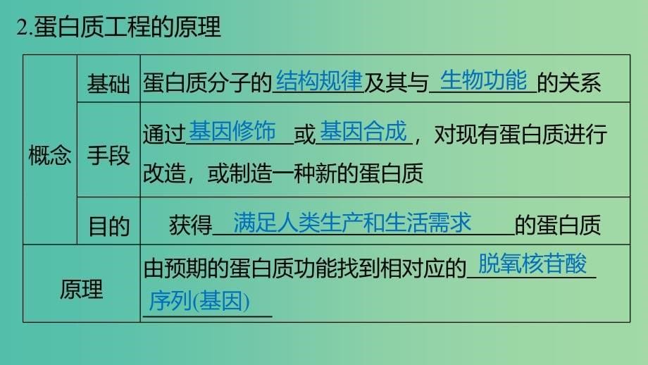 高中生物 专题一 基因工程 1.4 蛋白质工程的崛起课件 新人教版选修3.ppt_第5页