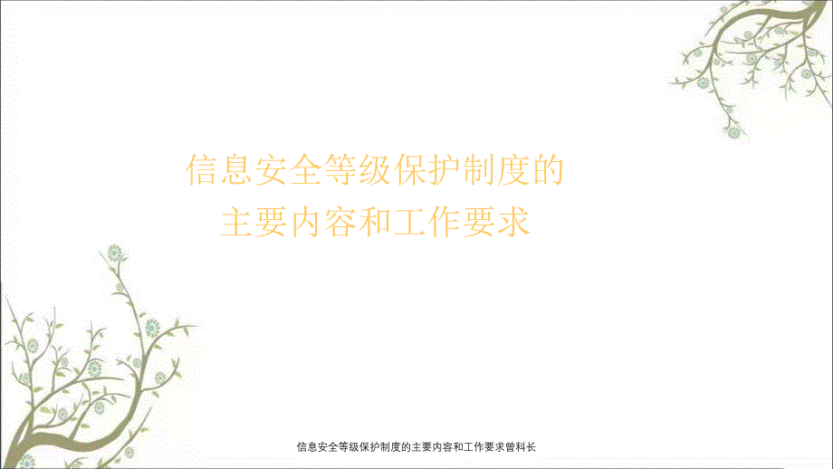 信息安全等级保护制度的主要内容和工作要求曾科长PPT课件_第1页