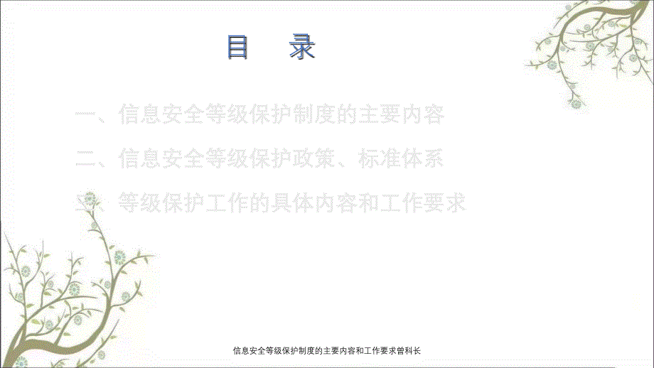 信息安全等级保护制度的主要内容和工作要求曾科长PPT课件_第2页