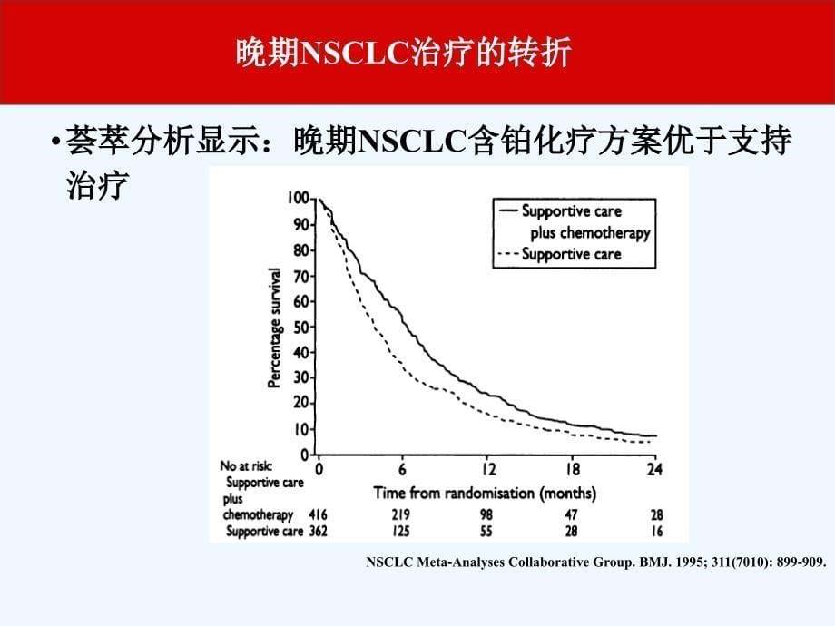 晚期非小细胞肺癌的一线治疗策略课件_第5页