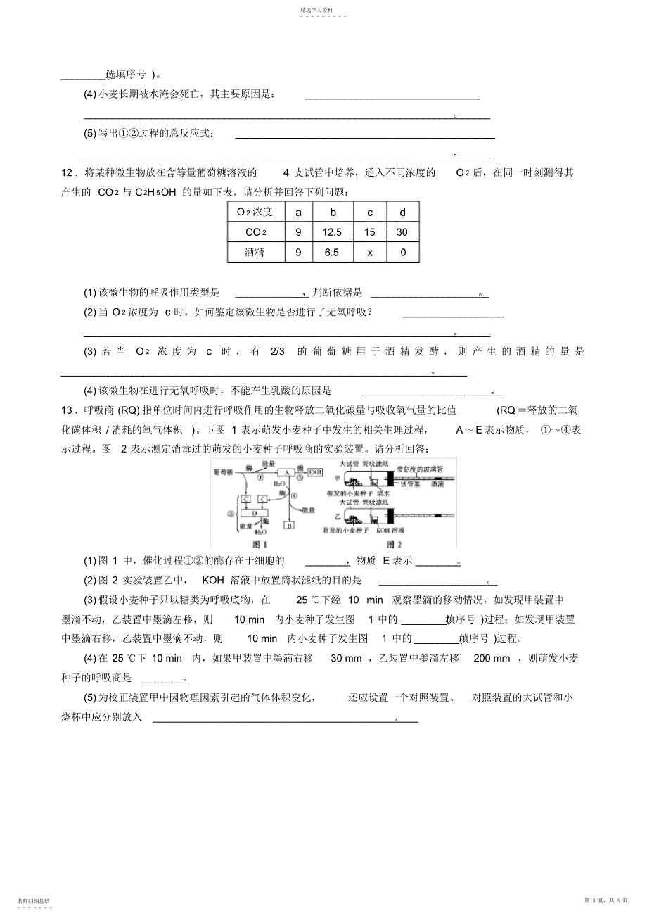 2022年第5章第3节ATP的主要来源细胞呼吸训练题附答案_第3页