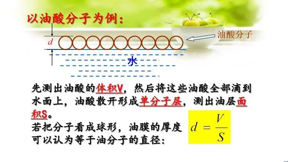 【高中物理】实验：用油膜法估测油酸分子的大小 高二物理人教版（2019）选择性必修第三册_第5页