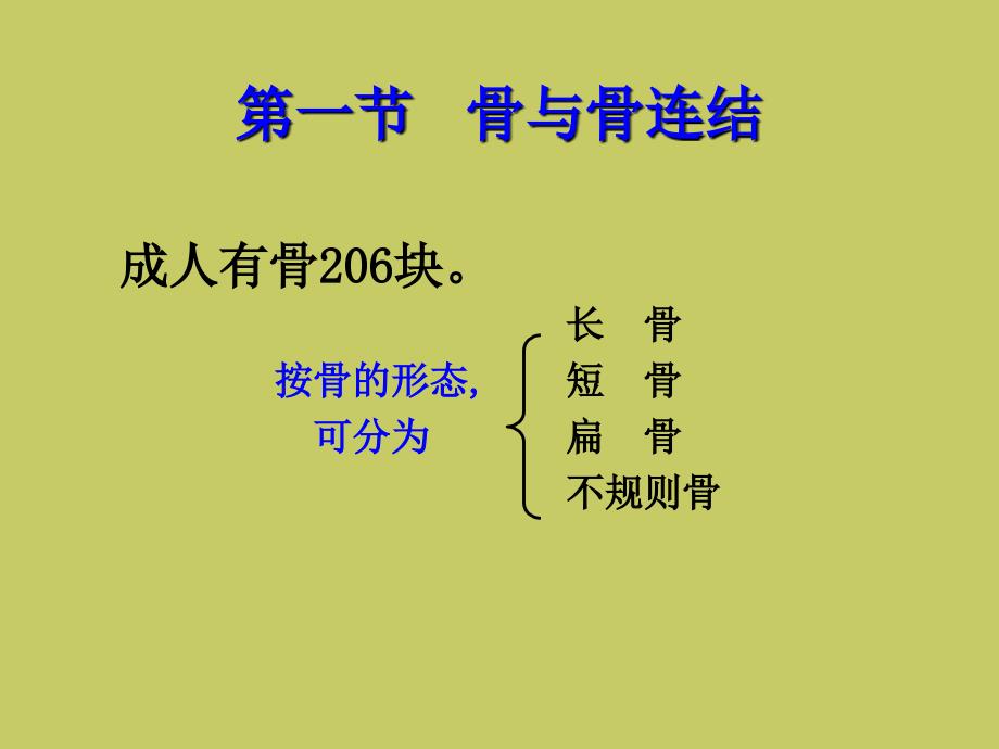 人体解剖生理学运动系统结构与功能_第2页