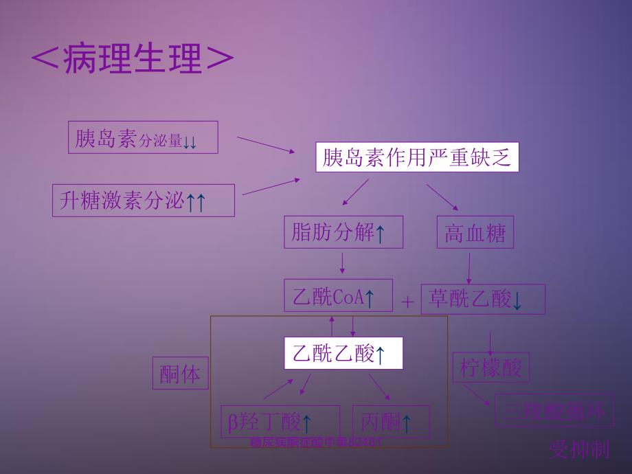 糖尿病酮症酸中毒82481_第4页