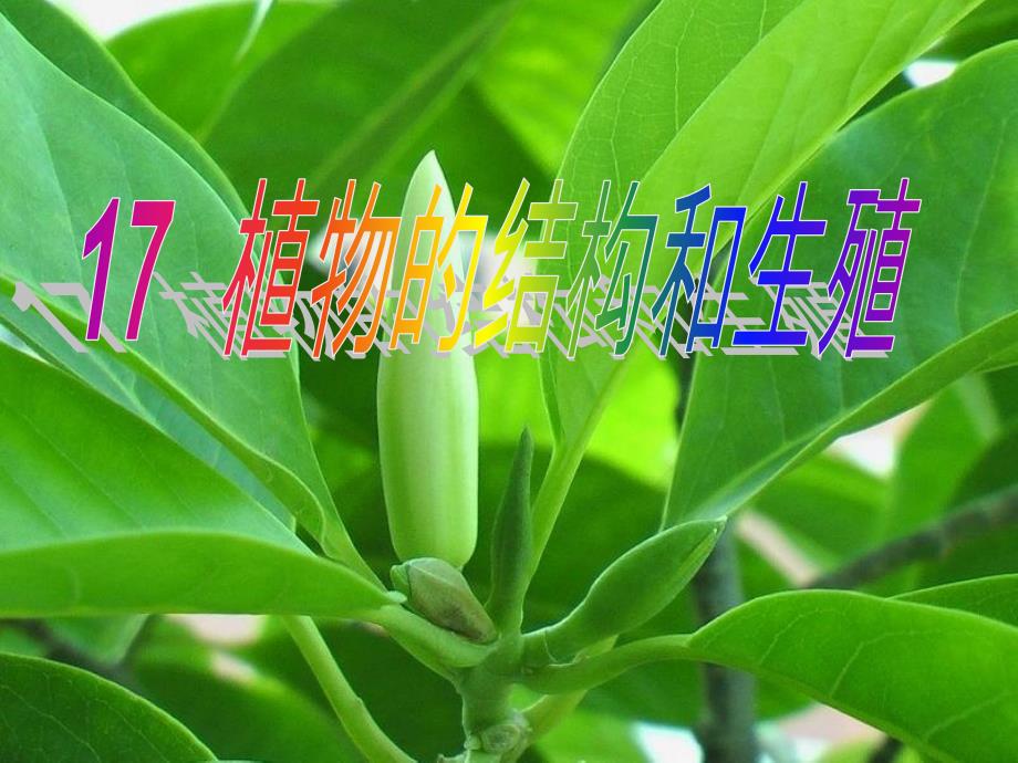 陈阅增普通生物学第三版植物的结构和功能_第2页