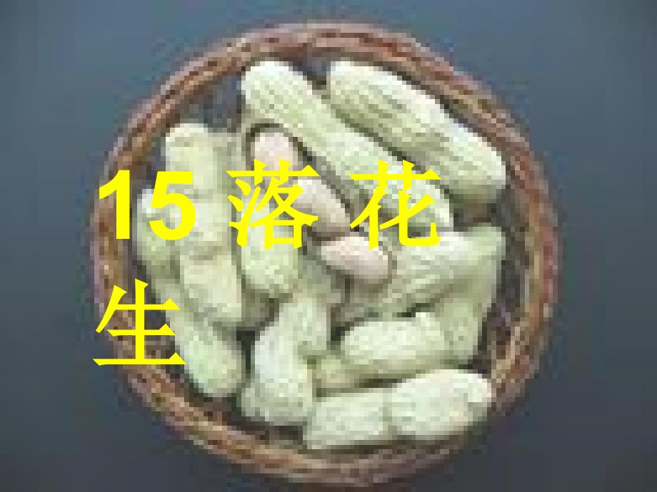 15落花生PPT课件_第1页