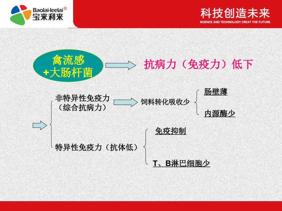 蛋鸡高效生态养殖技术_第3页