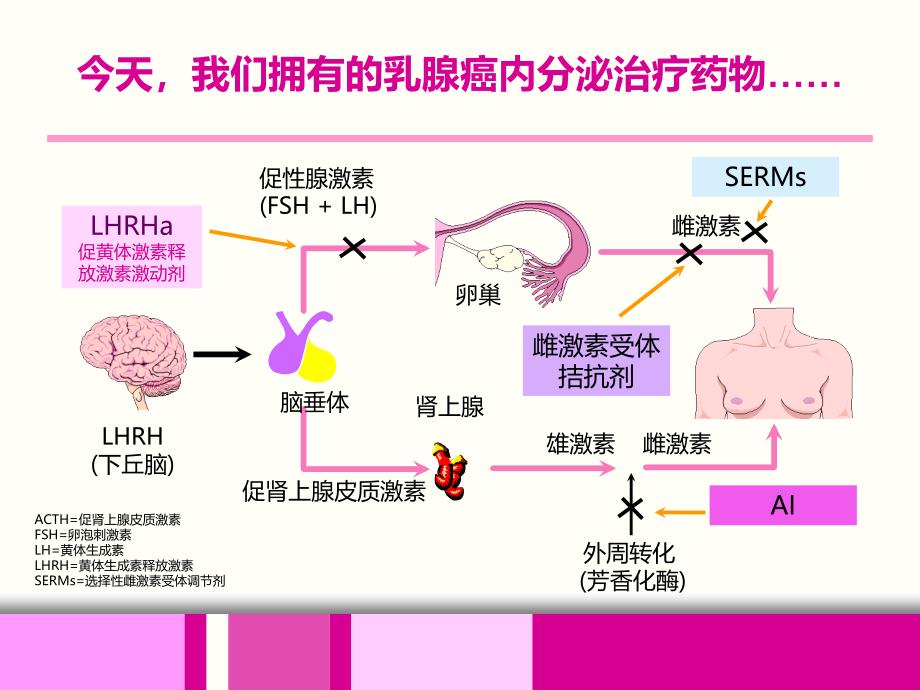 乳腺癌内分泌治疗临床思考ppt_第4页