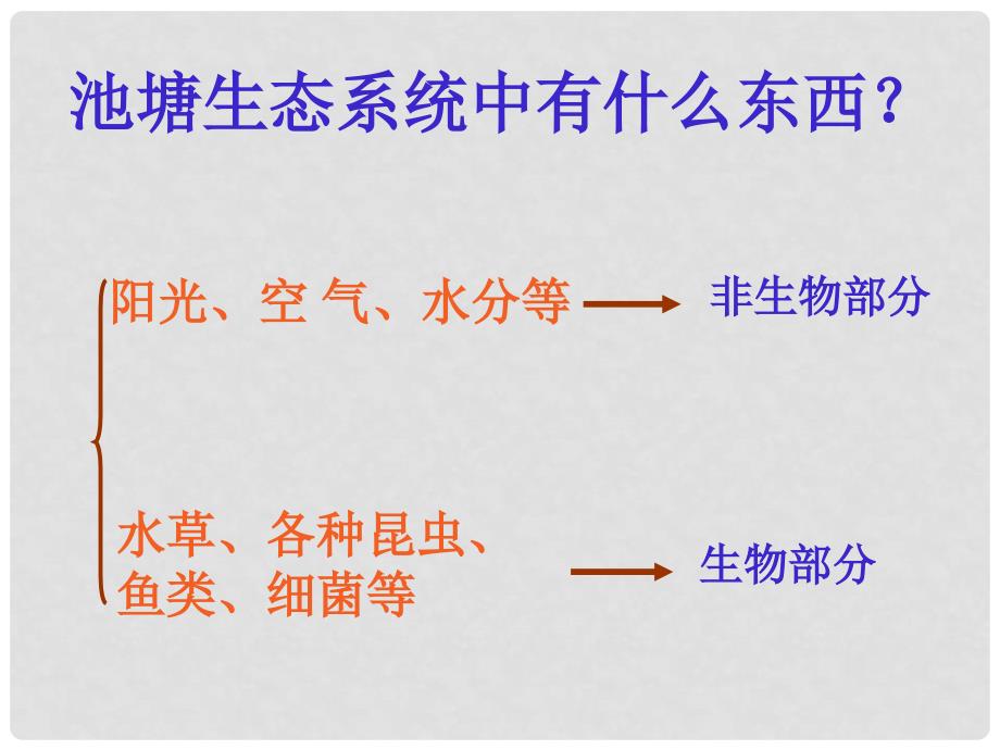 青海省湟川中学第二分校七年级生物《第四节生态系统》课件 人教新课标版_第4页