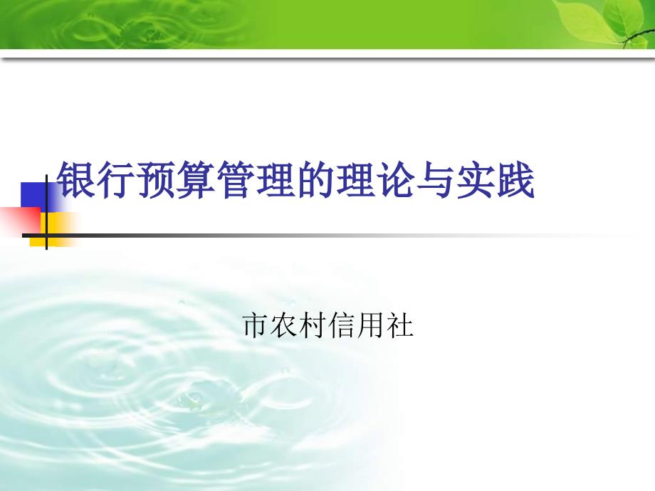 信用社银行课件银行预算管理的理论与实践_第1页