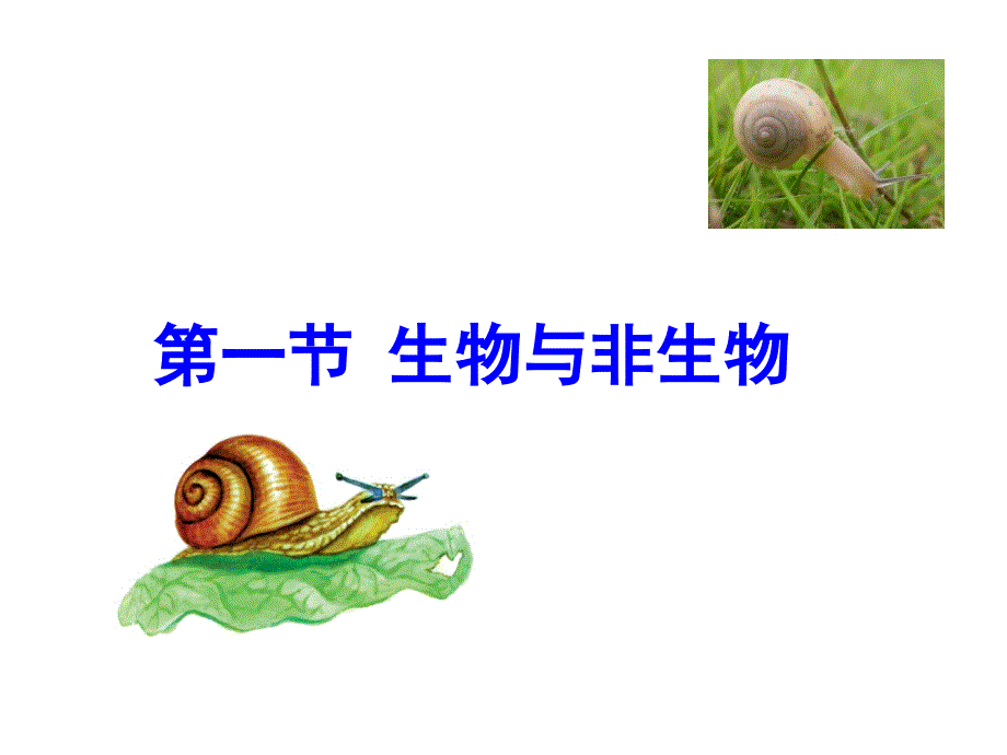 21生物与非生物_第2页