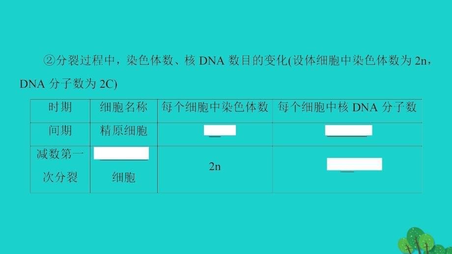 教师用书高中生物第2章染色体与遗传第1节减数分裂中的染色体行为Ⅱ课件浙科版必修_第5页