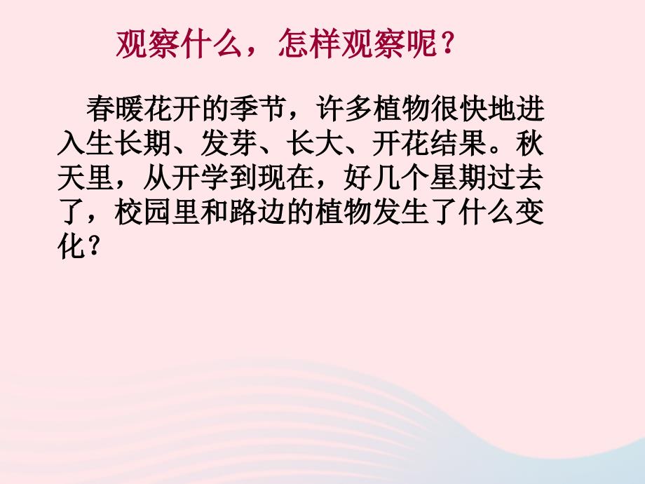 最新三年级科学上册1.6植物发生了什么变化课件1教科版教科版小学三年级上册自然科学课件_第3页