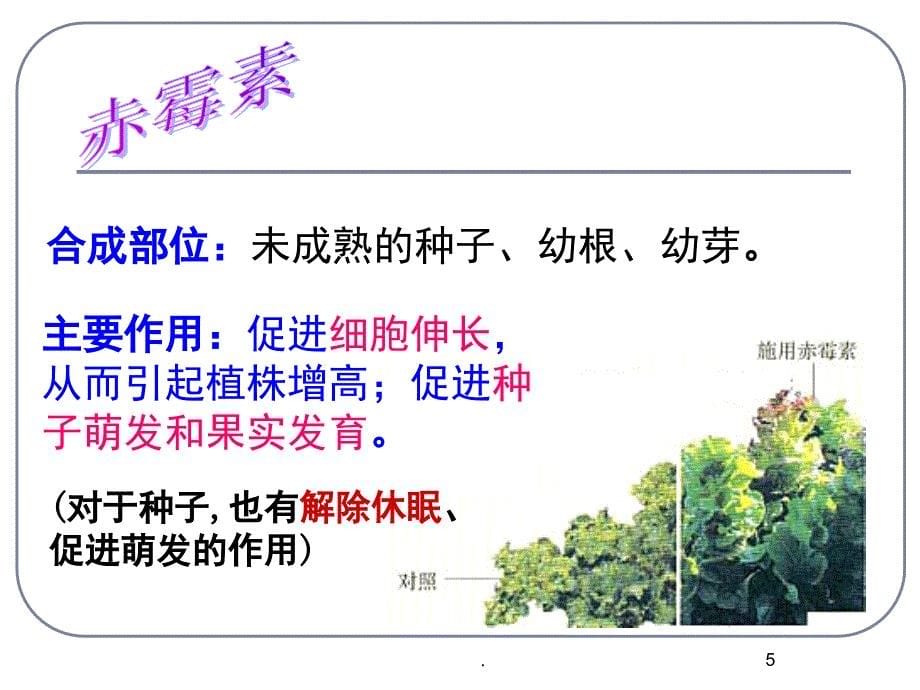 其他植物激素公开课PowerPoint演示文稿_第5页