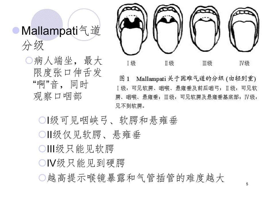 麻醉解剖学气管插管路径的应用解剖PPT课件_第5页