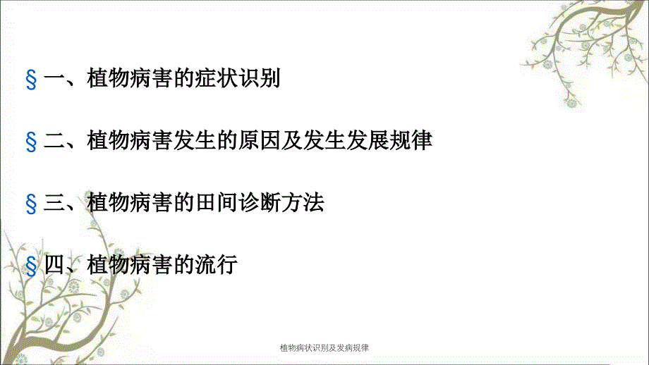 植物病状识别及发病规律_第2页