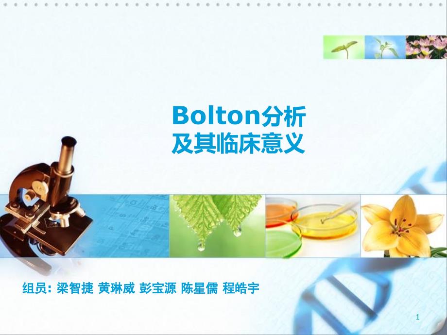 Bolton指数分析PPT_第1页