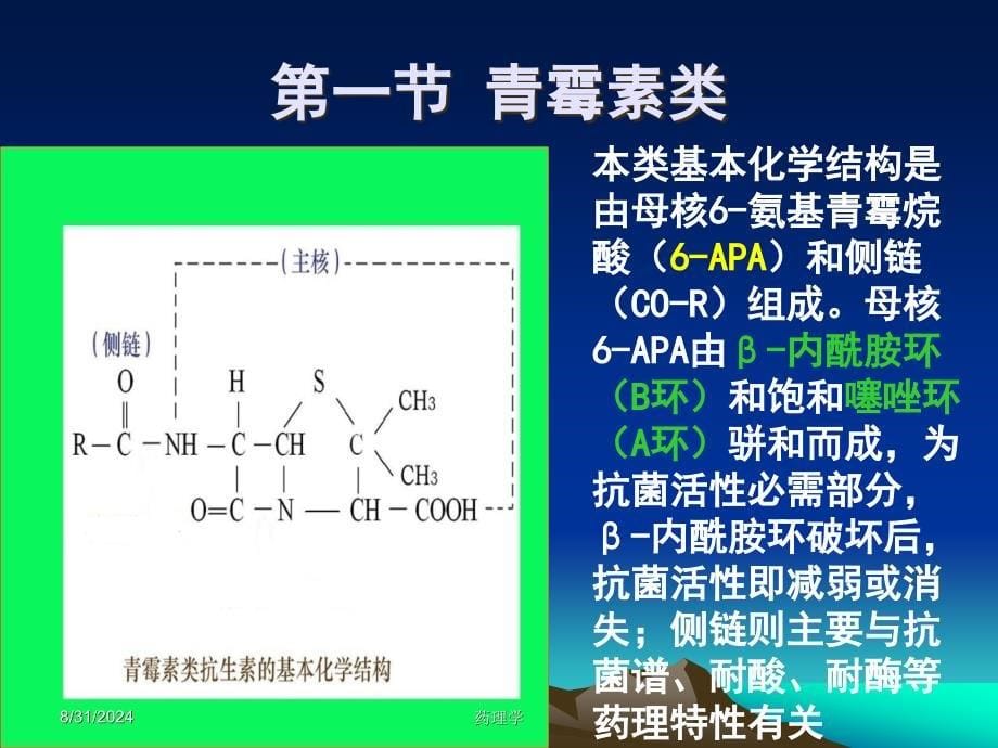 药理学课件第二十八章内酰胺类抗生素_第5页