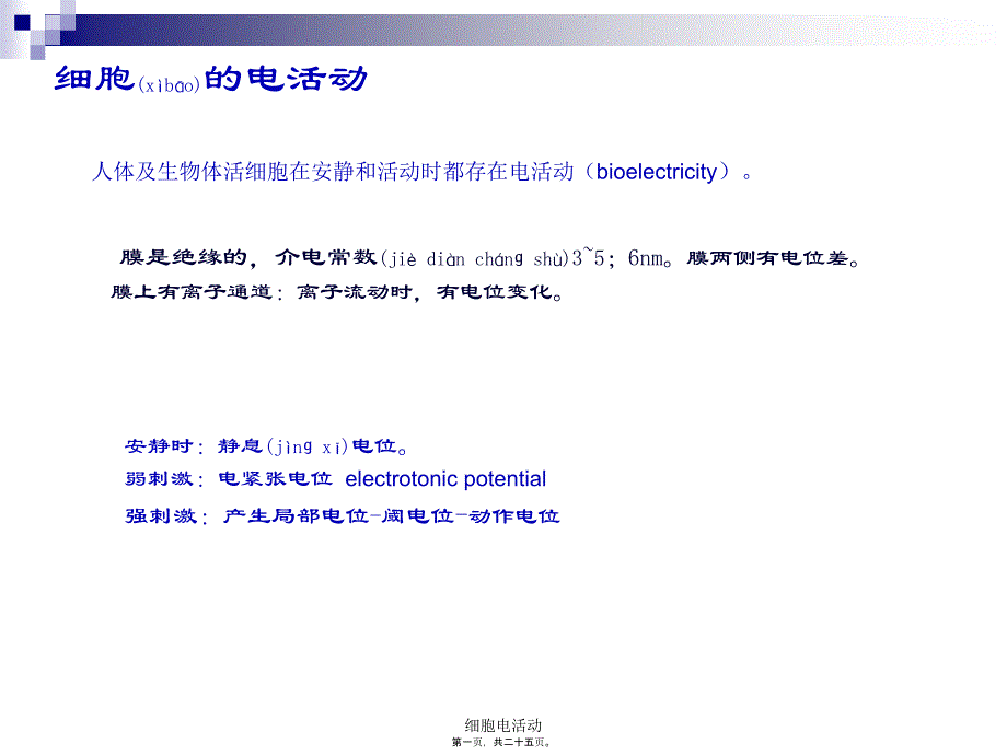 细胞电活动课件_第1页