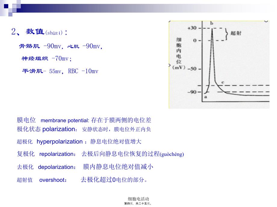 细胞电活动课件_第4页