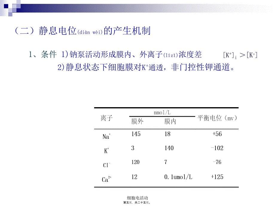 细胞电活动课件_第5页