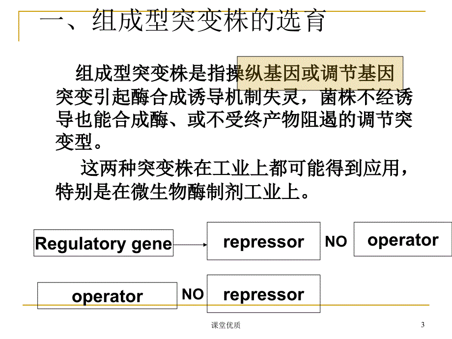 第七节代谢控制育种（详版课资）_第3页