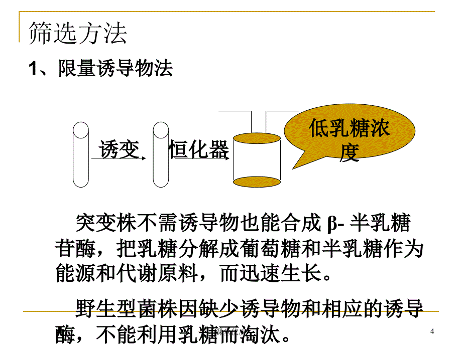 第七节代谢控制育种（详版课资）_第4页