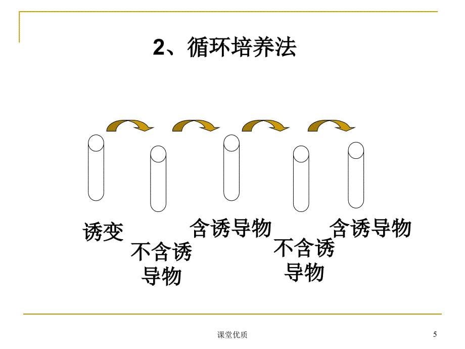 第七节代谢控制育种（详版课资）_第5页