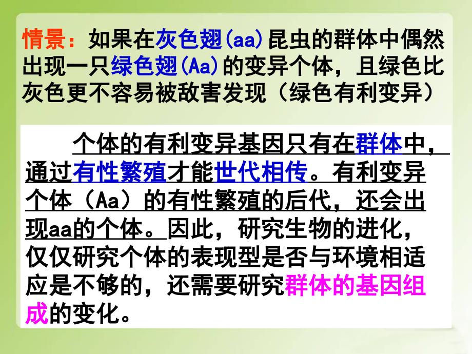 人教版必修二第七章第二节现代生物进化理论的主要内容（共42张PPT）_第3页