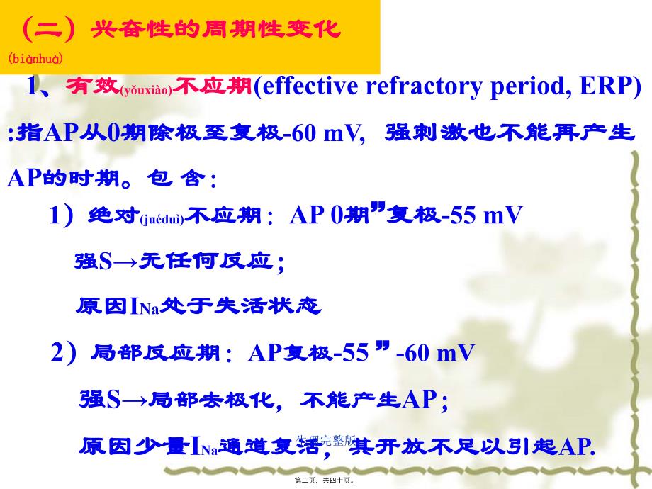 生理完整版课件_第3页