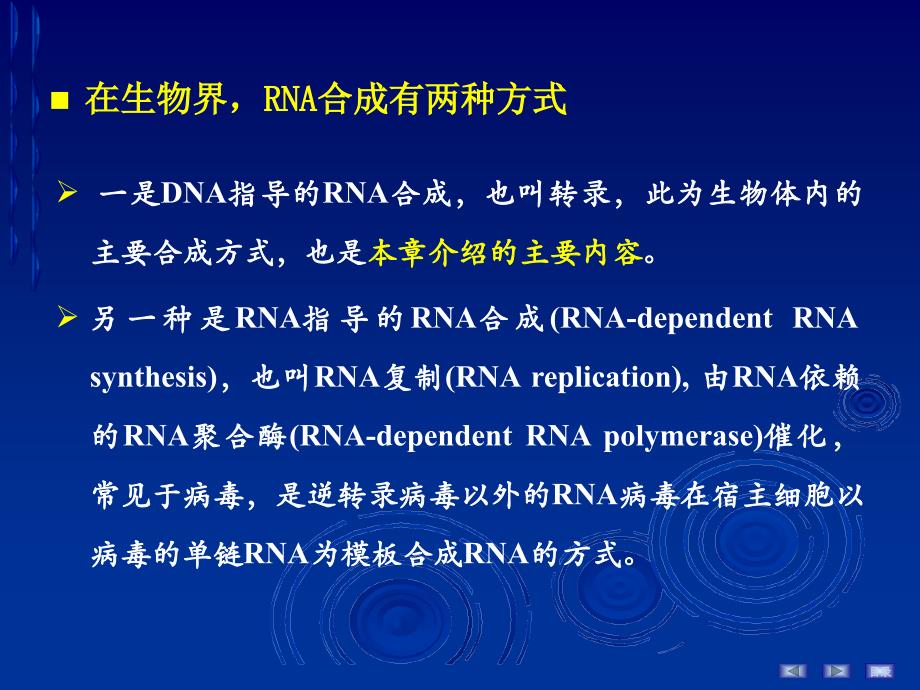 生物化学与分子生物学：第16章 RNA的生物合成_第2页