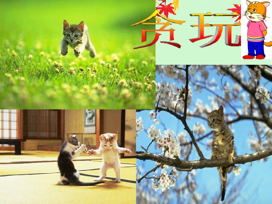 15猫课件_第4页