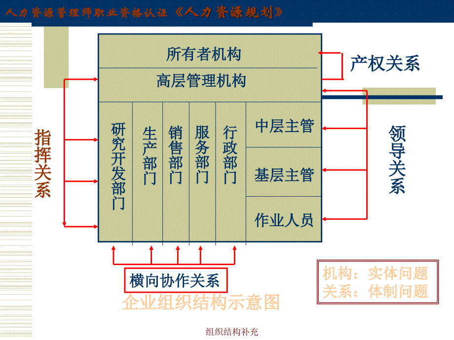 组织结构补充课件_第1页